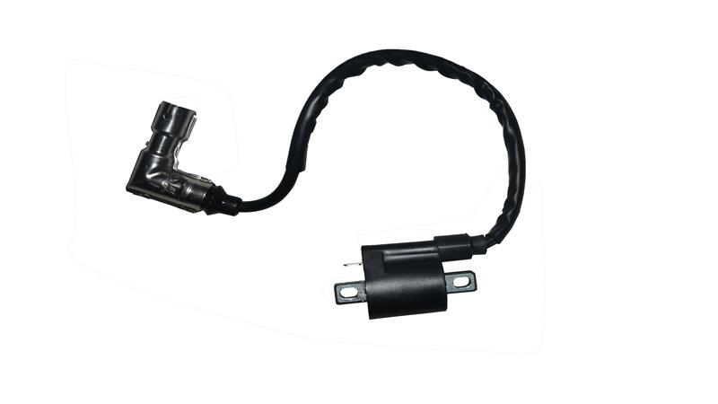 ATEŞLEME BOBİNİ (EASY PRO)